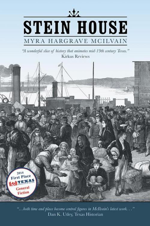 Cover of the book Stein House by Myra Hargrave McIlvain, iUniverse