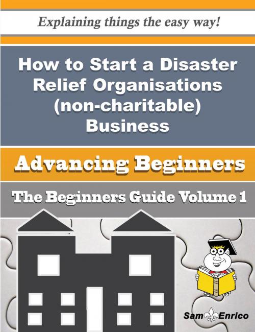 Cover of the book How to Start a Disaster Relief Organisations (non-charitable) Business (Beginners Guide) by Maegan Beauregard, SamEnrico