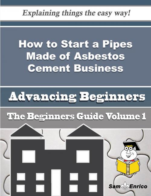 Cover of the book How to Start a Pipes Made of Asbestos Cement Business (Beginners Guide) by Noella Hoy, SamEnrico