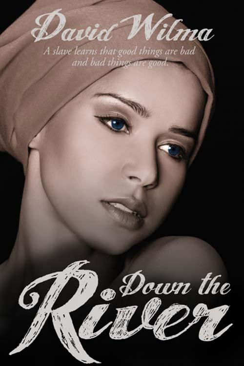Cover of the book Down the River by David  Wilma, The Wild Rose Press, Inc.