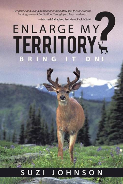 Cover of the book Enlarge My Territory? by Suzi Johnson, WestBow Press