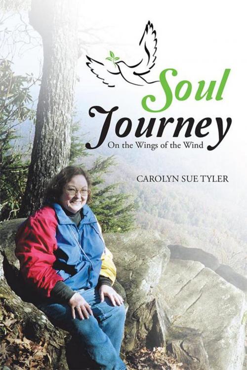 Cover of the book Soul Journey by Carolyn Sue Tyler, WestBow Press