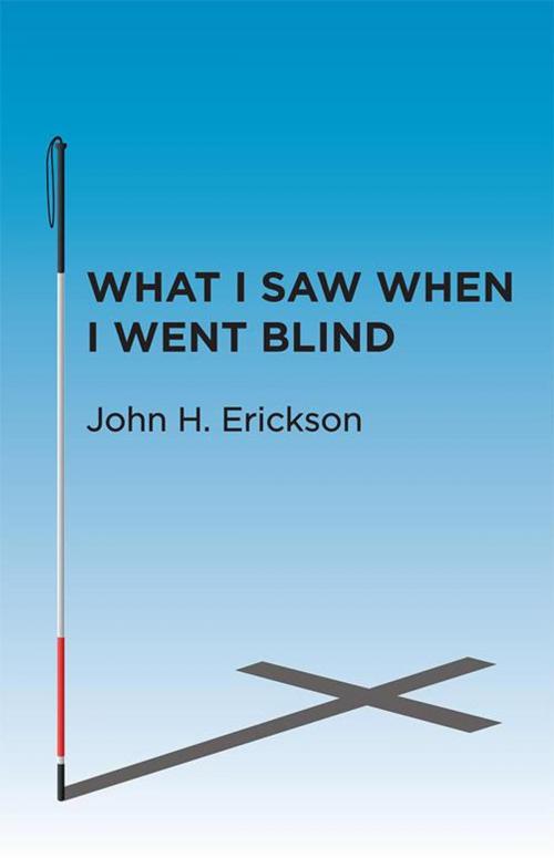 Cover of the book What I Saw When I Went Blind by John H. Erickson, WestBow Press
