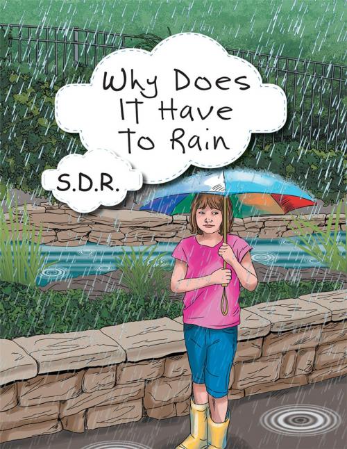 Cover of the book Why Does It Have to Rain by S.D.R., WestBow Press