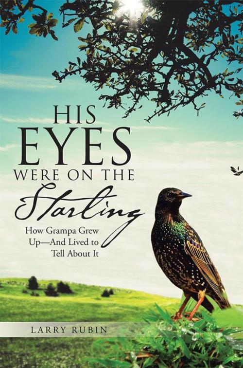 Cover of the book His Eyes Were on the Starling by Larry Rubin, WestBow Press