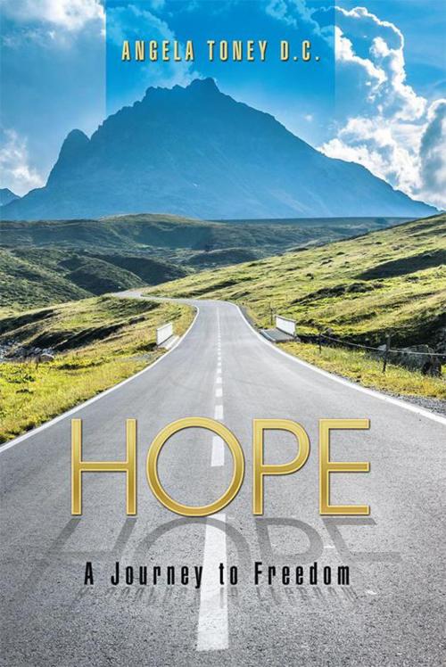 Cover of the book Hope by Angela Toney D.C., WestBow Press