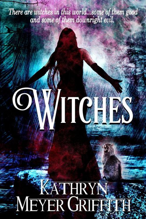 Cover of the book Witches by Kathryn Meyer Griffith, Kathryn Meyer Griffith