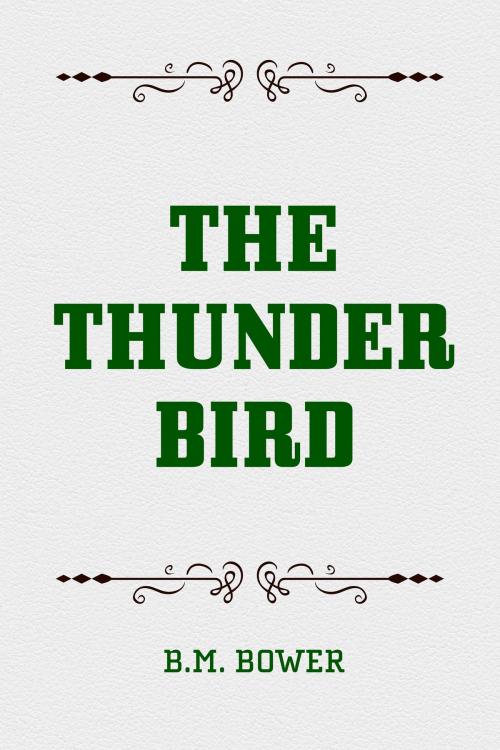 Cover of the book The Thunder Bird by B.M. Bower, Krill Press