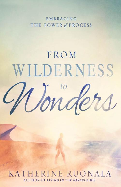 Cover of the book From Wilderness to Wonders by Katherine Ruonala, Charisma House