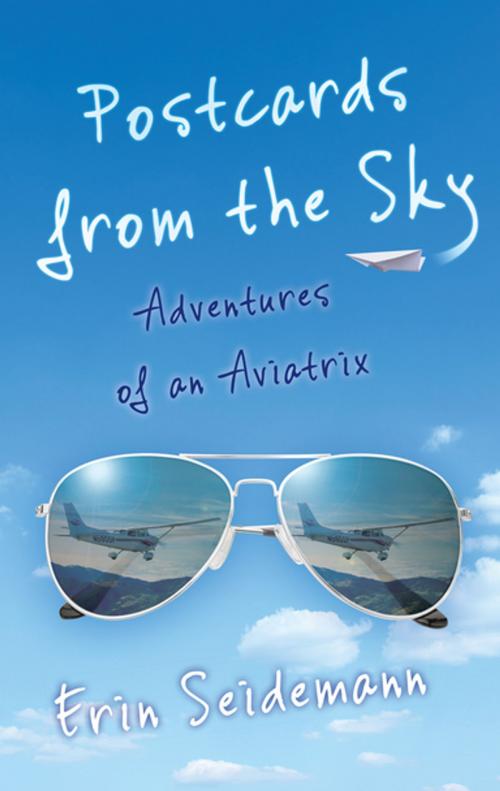 Cover of the book Postcards from the Sky by Erin Seidemann, She Writes Press