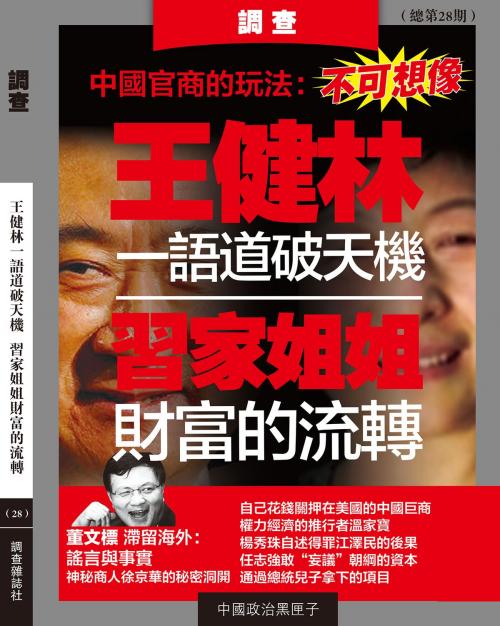 Cover of the book 《調查》28輯 by 《調查》編輯部, 調查雜誌社