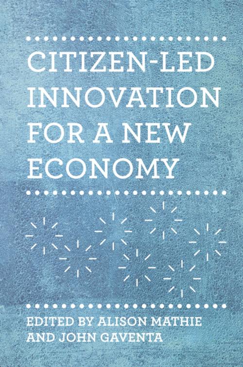 Cover of the book Citizen-led Innovation for a New Economy by , Practical Action Publishing