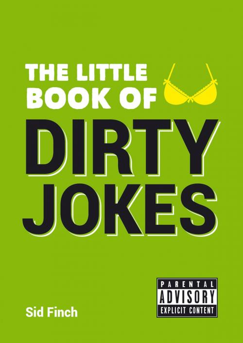 Cover of the book The Little Book of Dirty Jokes by Sid Finch, Summersdale Publishers Ltd