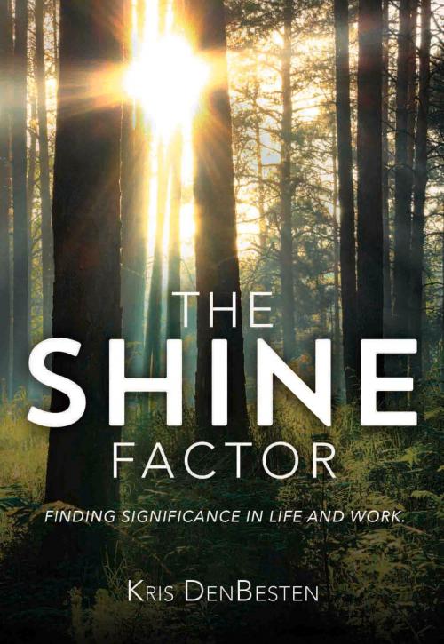 Cover of the book The Shine Factor by Kris  DenBesten, HigherLife Publishing