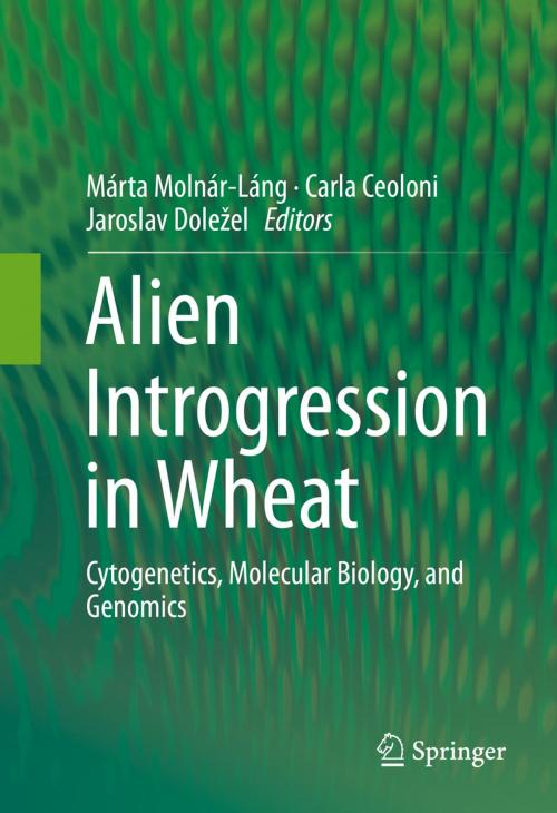 Cover of the book Alien Introgression in Wheat by , Springer International Publishing