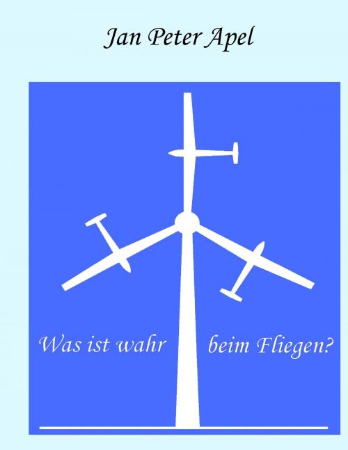 Cover of the book Was ist wahr beim Fliegen? by Jan Peter Apel, Books on Demand