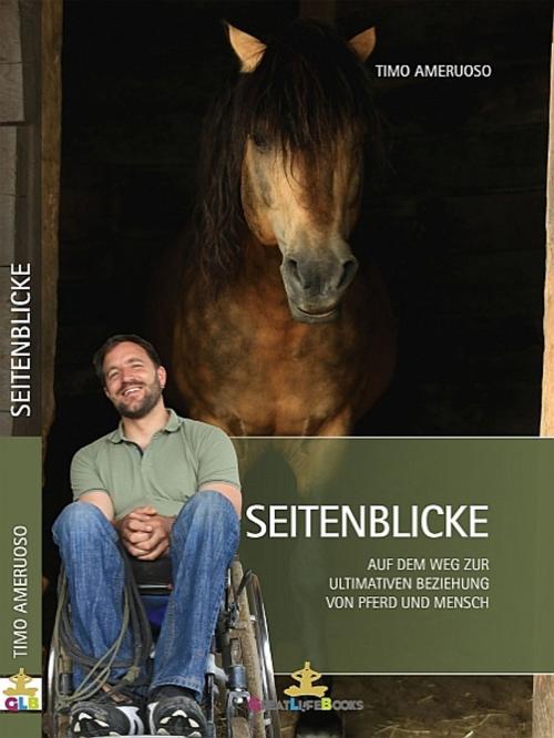 Cover of the book Seitenblicke by Timo Ameruoso, Timo Ameruoso
