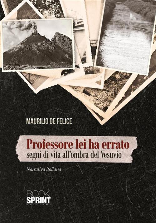 Cover of the book Professore lei ha errato by Maurilio De Felice, Booksprint