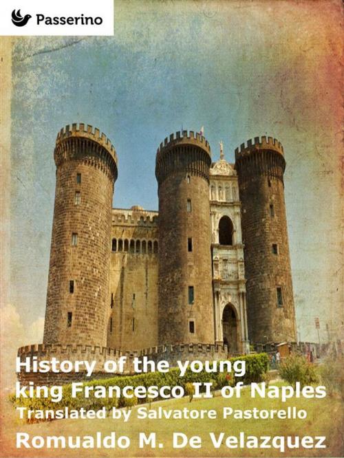 Cover of the book History of the young king Francesco II of Naples by Romualdo M. De Velazquez, Passerino Editore