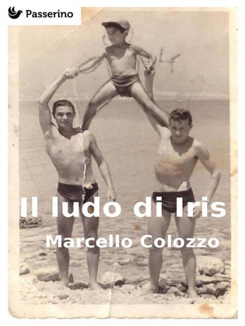 Cover of the book Il ludo di Iris by Marcello Colozzo, Passerino Editore