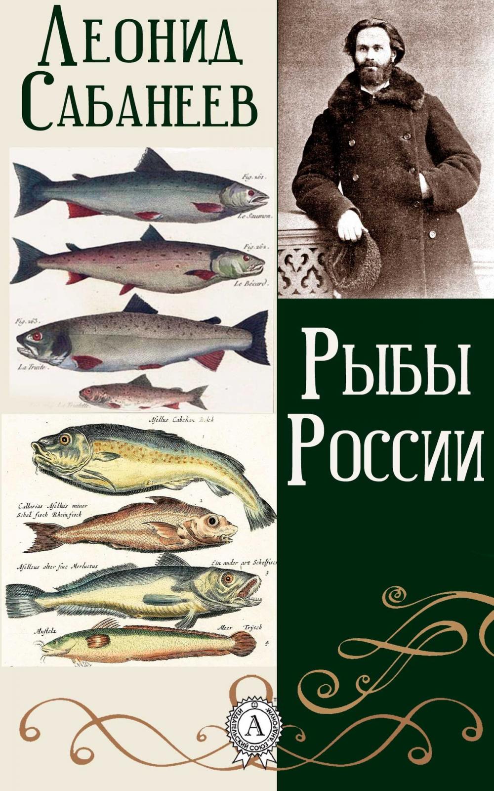 Big bigCover of Рыбы России