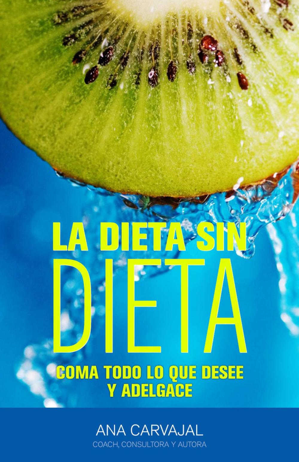 Big bigCover of LA DIETA SIN DIETA