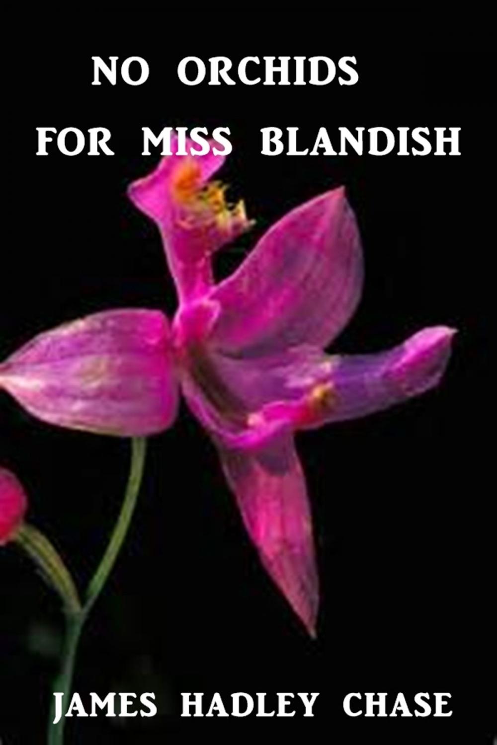 Big bigCover of No Orchids for Miss Blandish