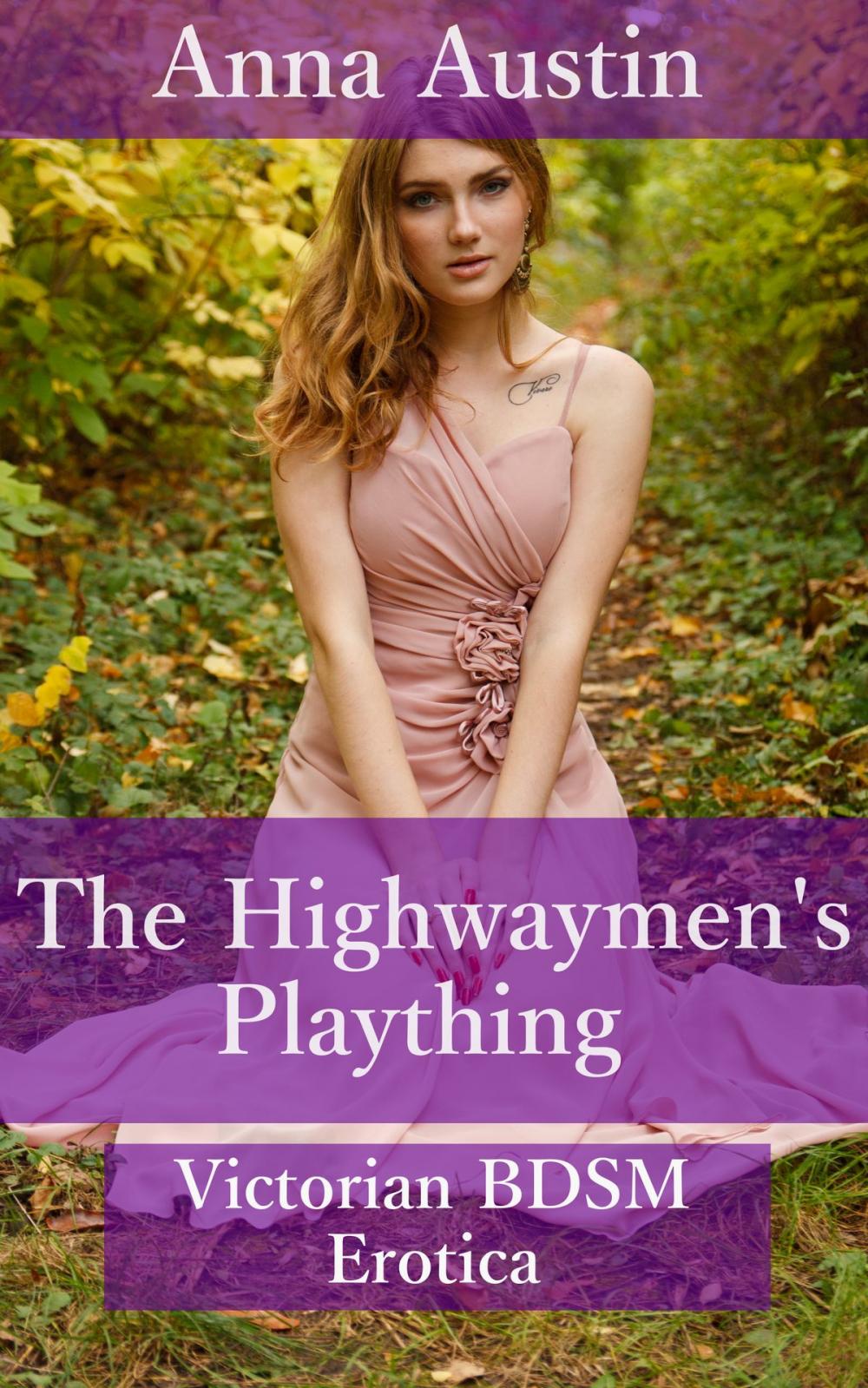 Big bigCover of The Highwaymen's Plaything