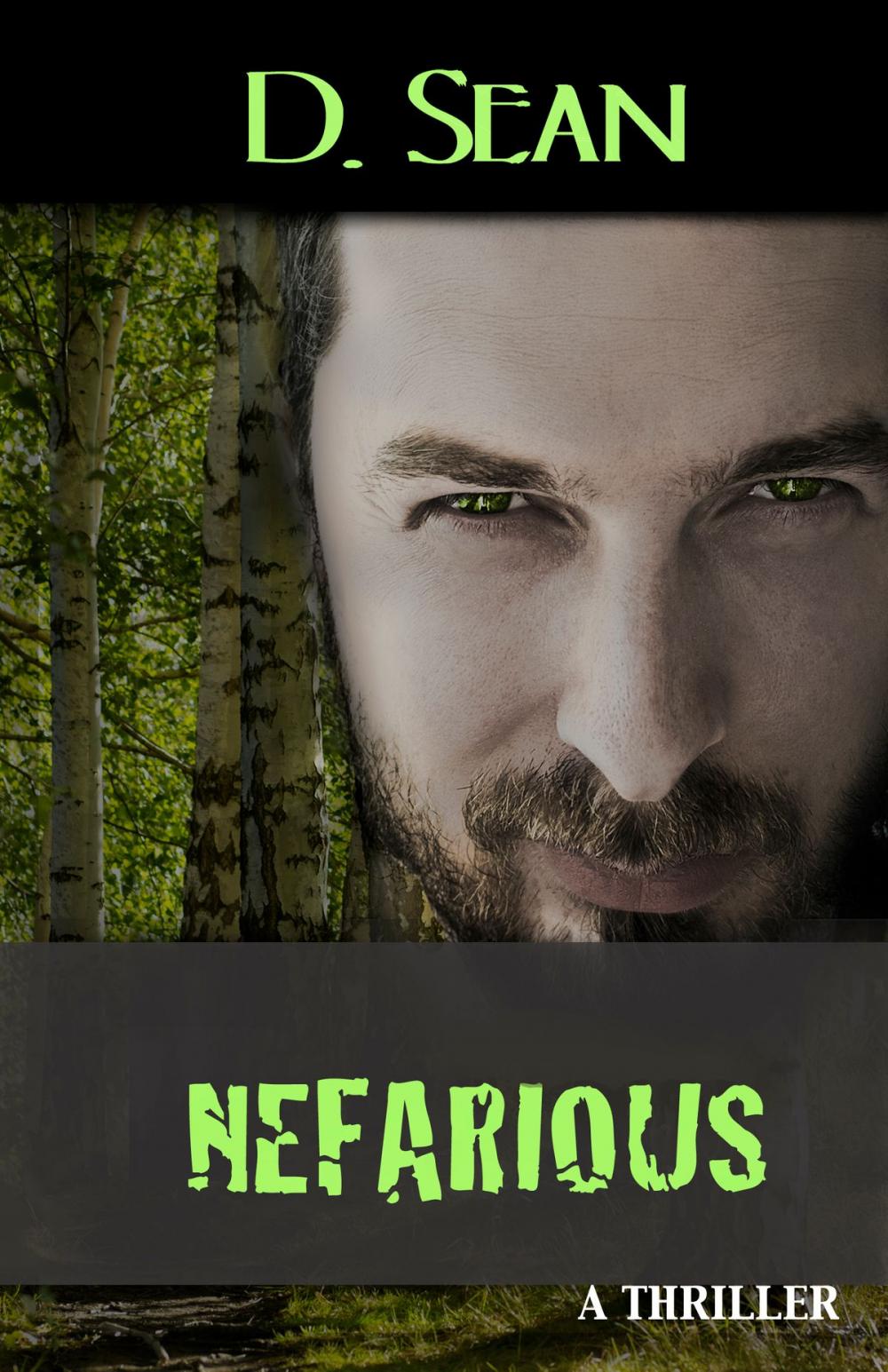 Big bigCover of Nefarious