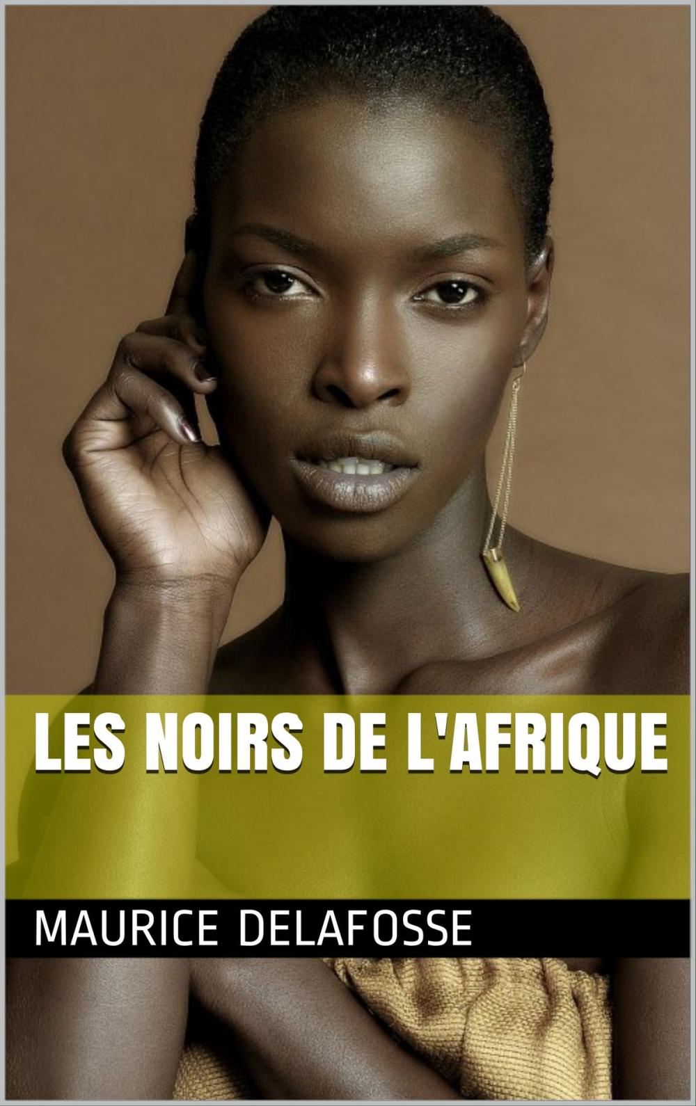 Big bigCover of Les Noirs de l'Afrique