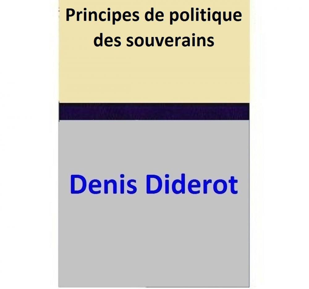 Big bigCover of Principes de politique des souverains