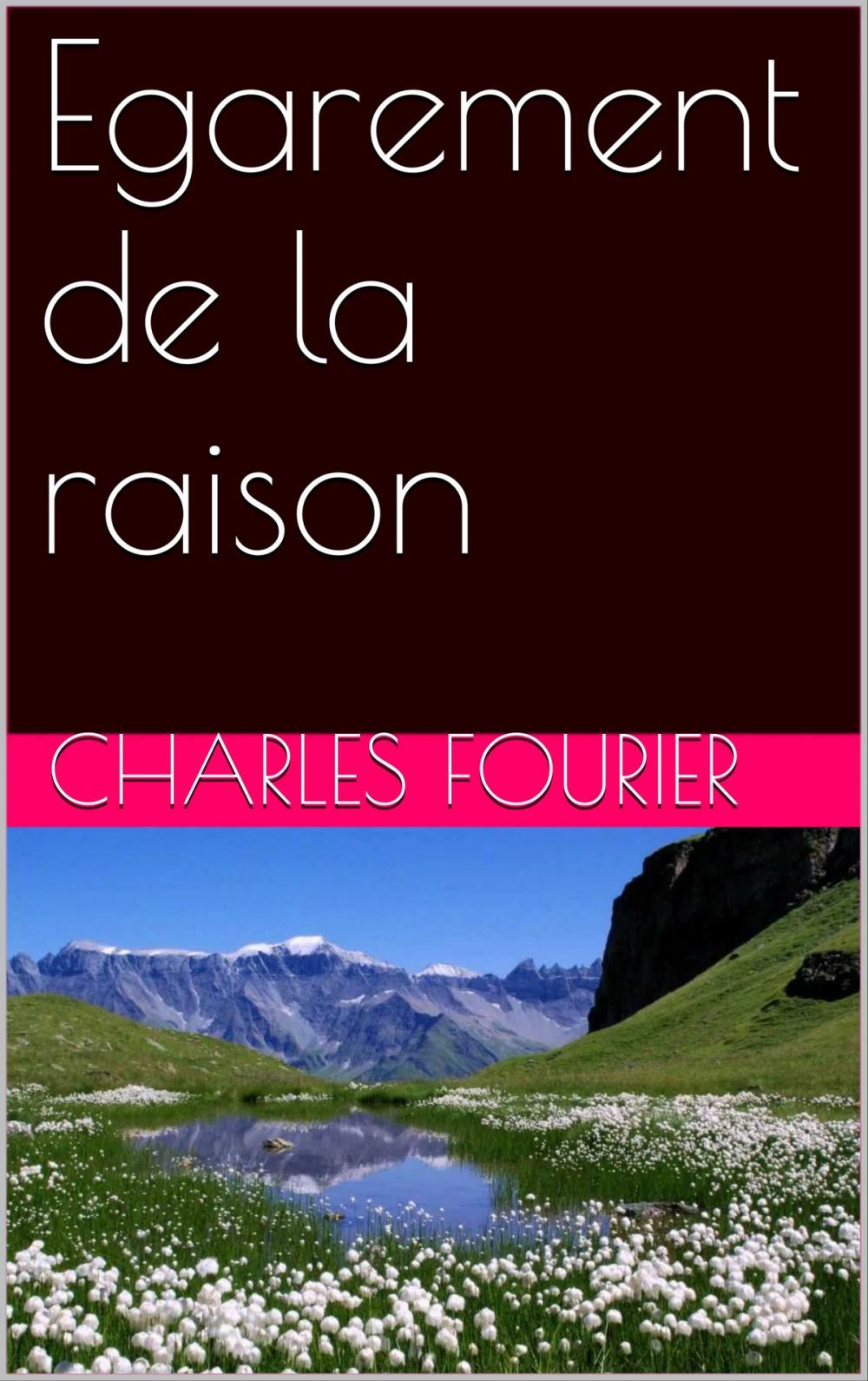 Big bigCover of Egarement de la raison