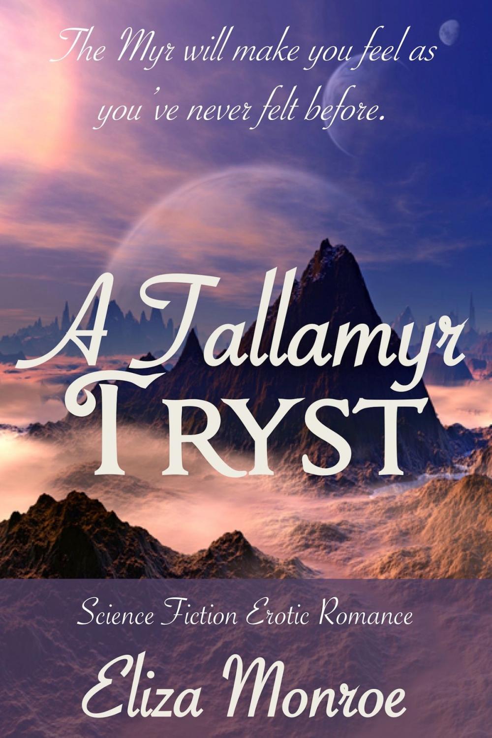 Big bigCover of A Tallamyr Tryst