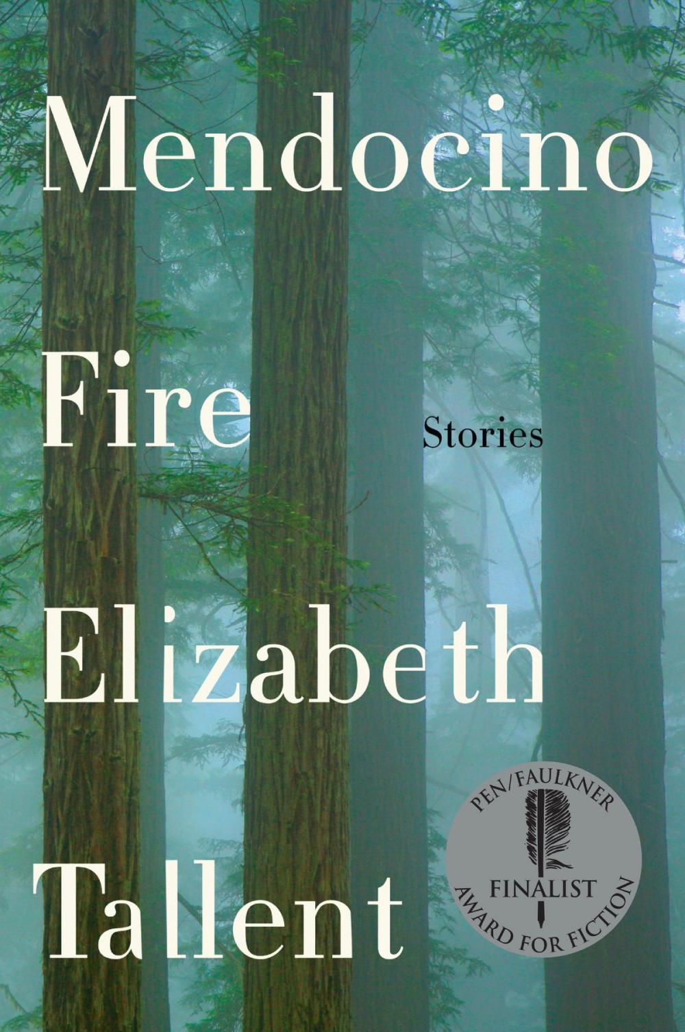 Big bigCover of Mendocino Fire