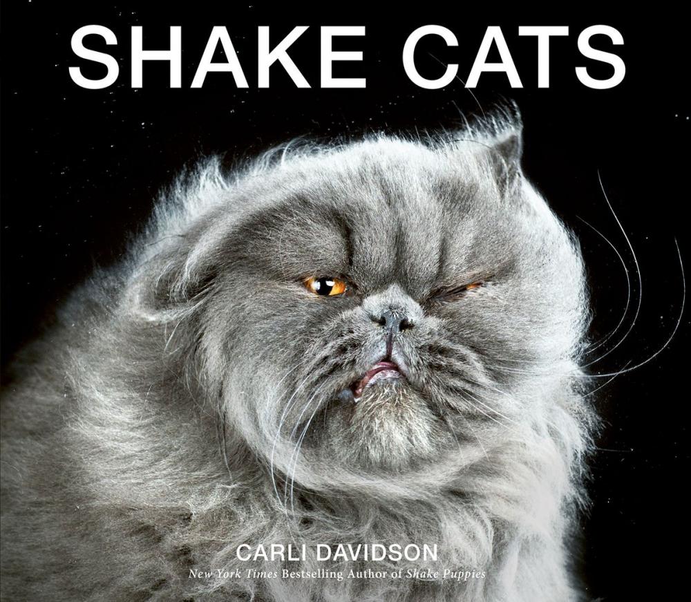 Big bigCover of Shake Cats