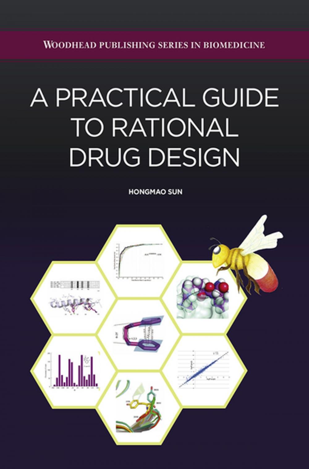 Big bigCover of A Practical Guide to Rational Drug Design