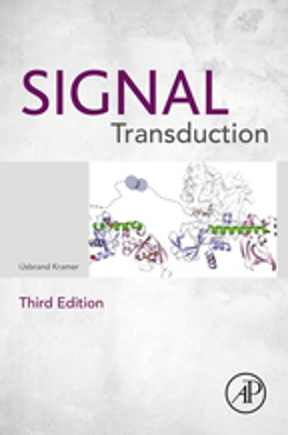 Big bigCover of Signal Transduction