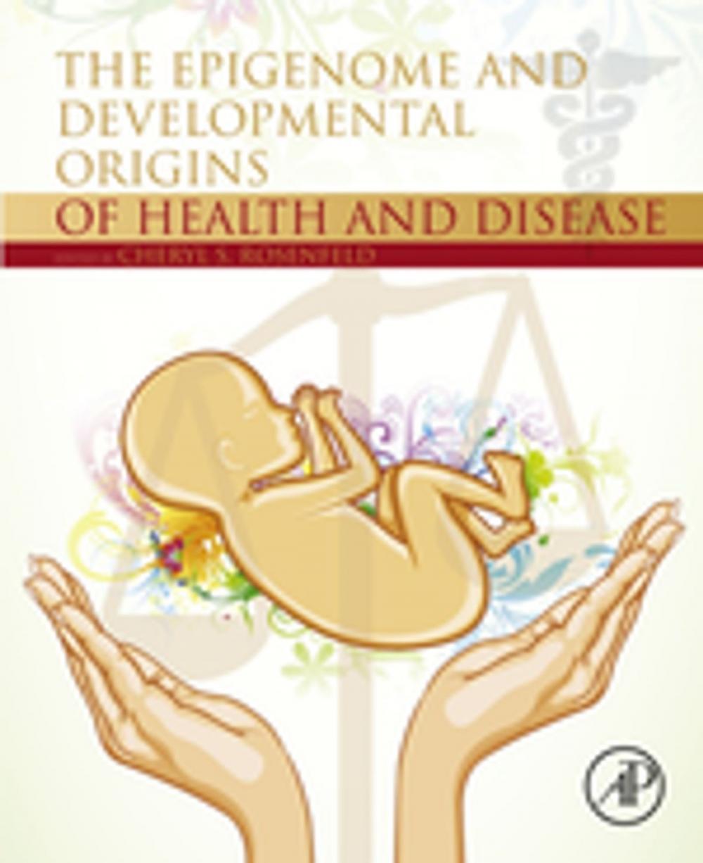 Big bigCover of The Epigenome and Developmental Origins of Health and Disease