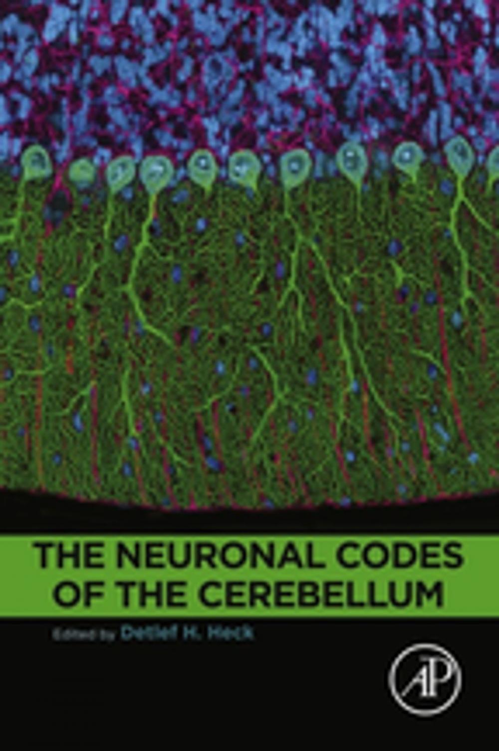 Big bigCover of The Neuronal Codes of the Cerebellum