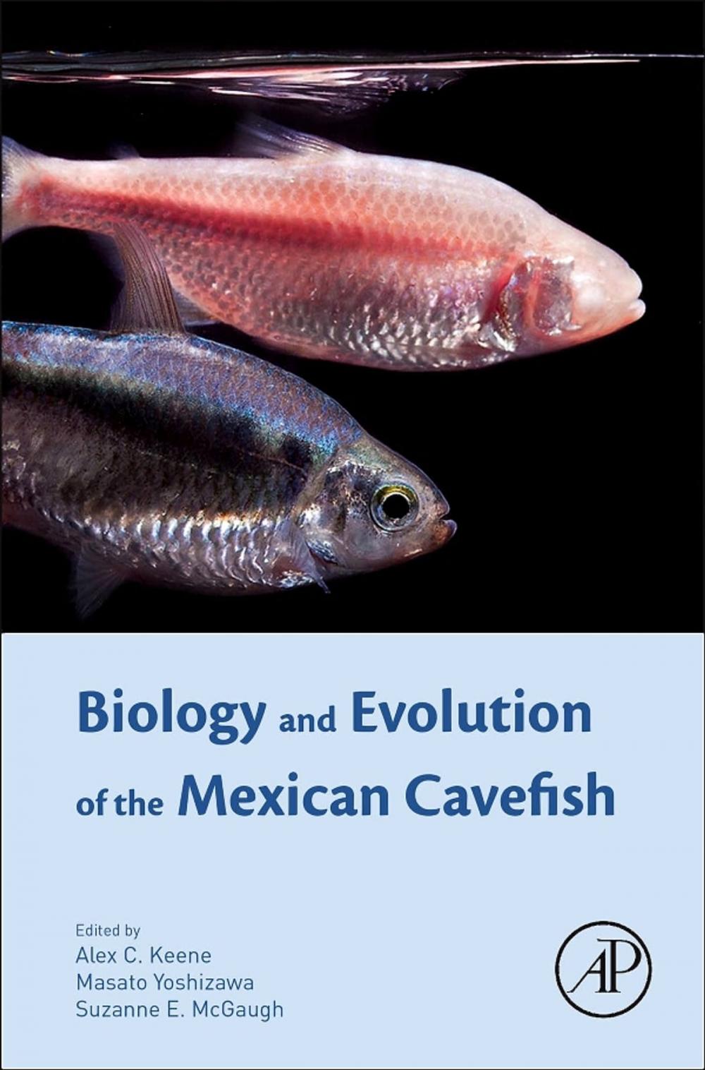 Big bigCover of Biology and Evolution of the Mexican Cavefish