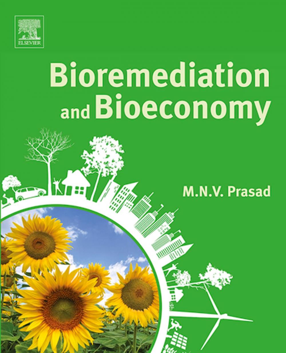 Big bigCover of Bioremediation and Bioeconomy