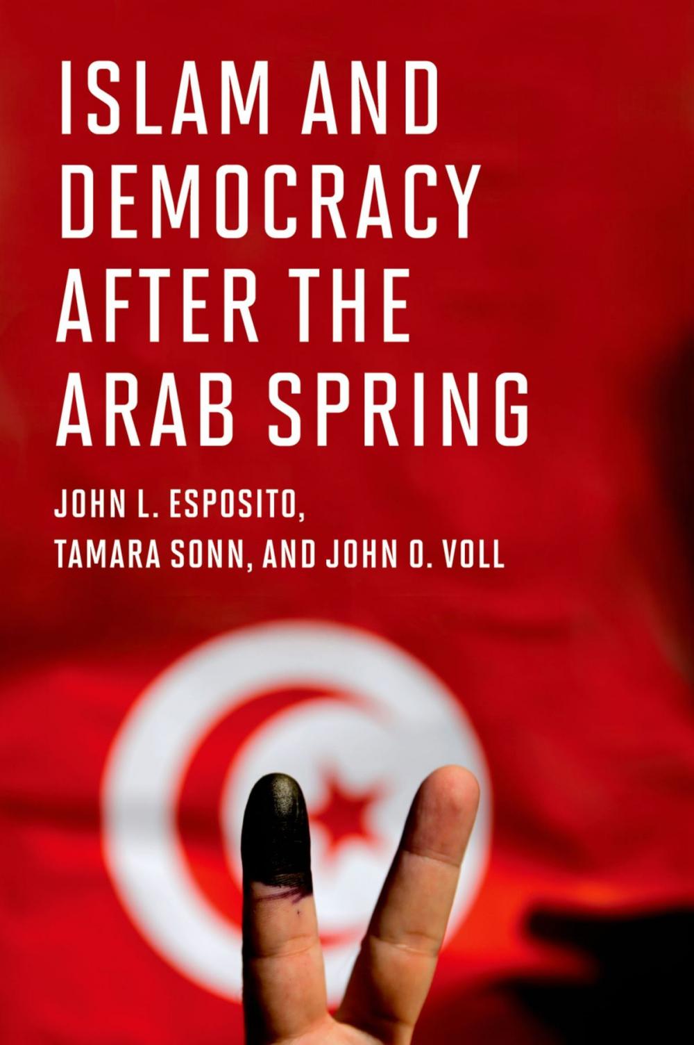 Big bigCover of Islam and Democracy after the Arab Spring