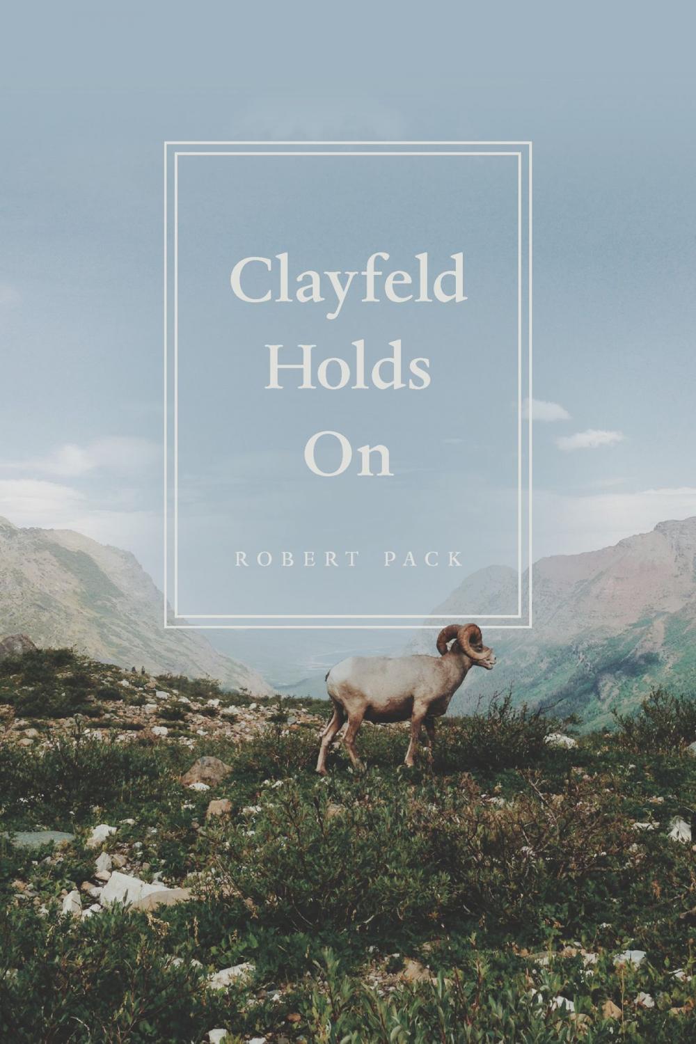 Big bigCover of Clayfeld Holds On