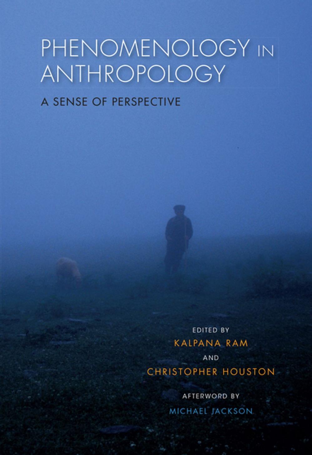 Big bigCover of Phenomenology in Anthropology