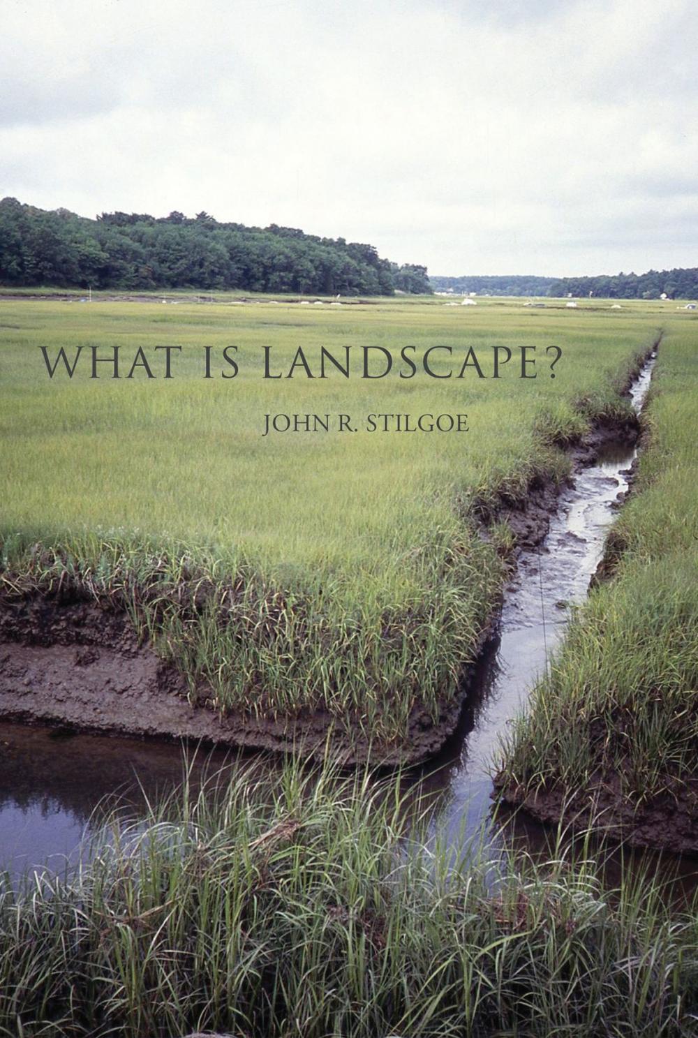 Big bigCover of What Is Landscape?