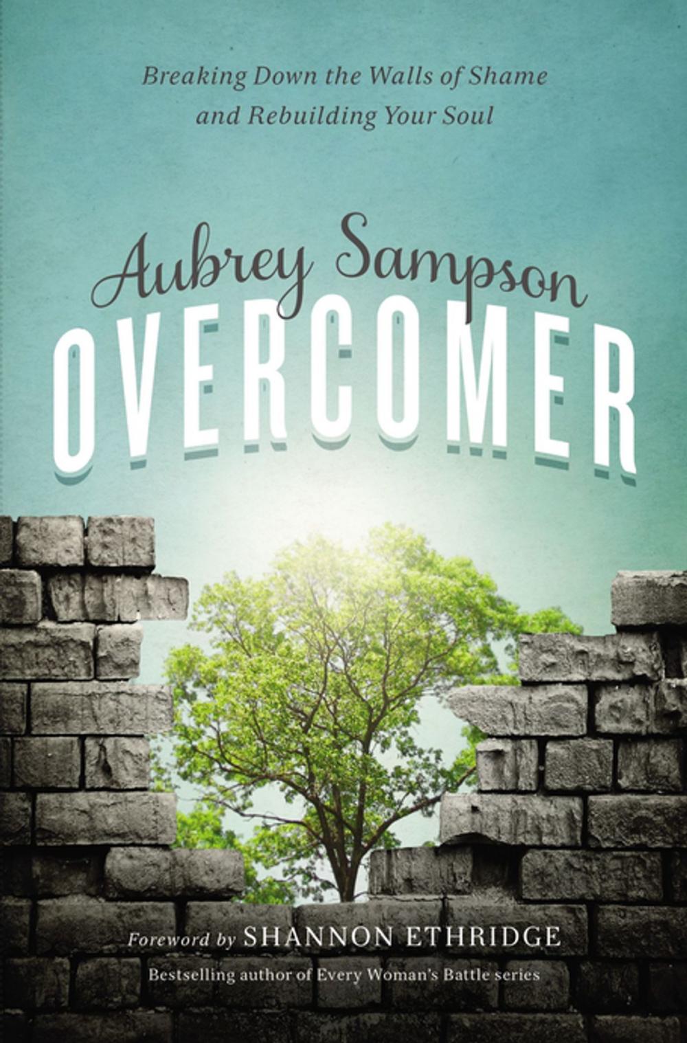 Big bigCover of Overcomer