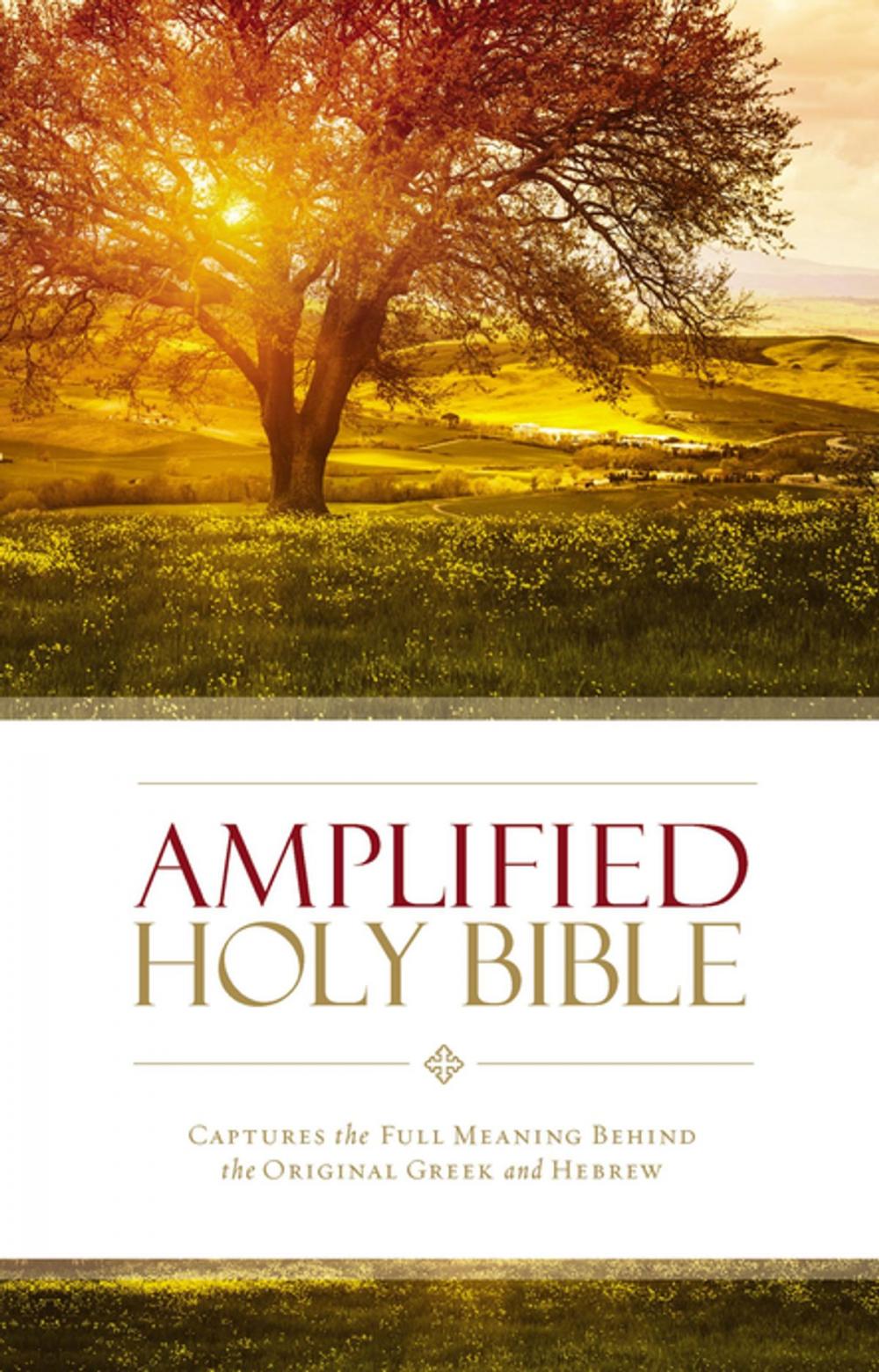 Big bigCover of Amplified Holy Bible, eBook