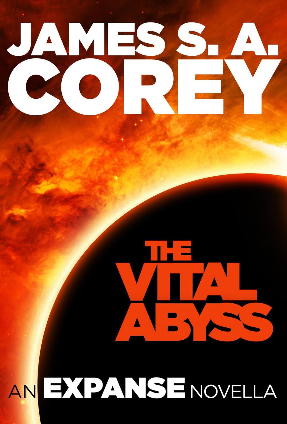 Big bigCover of The Vital Abyss