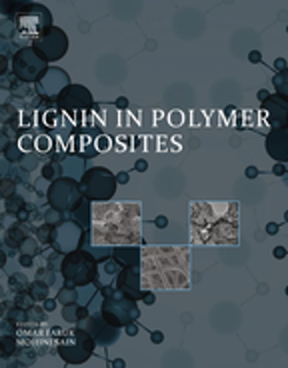 Big bigCover of Lignin in Polymer Composites