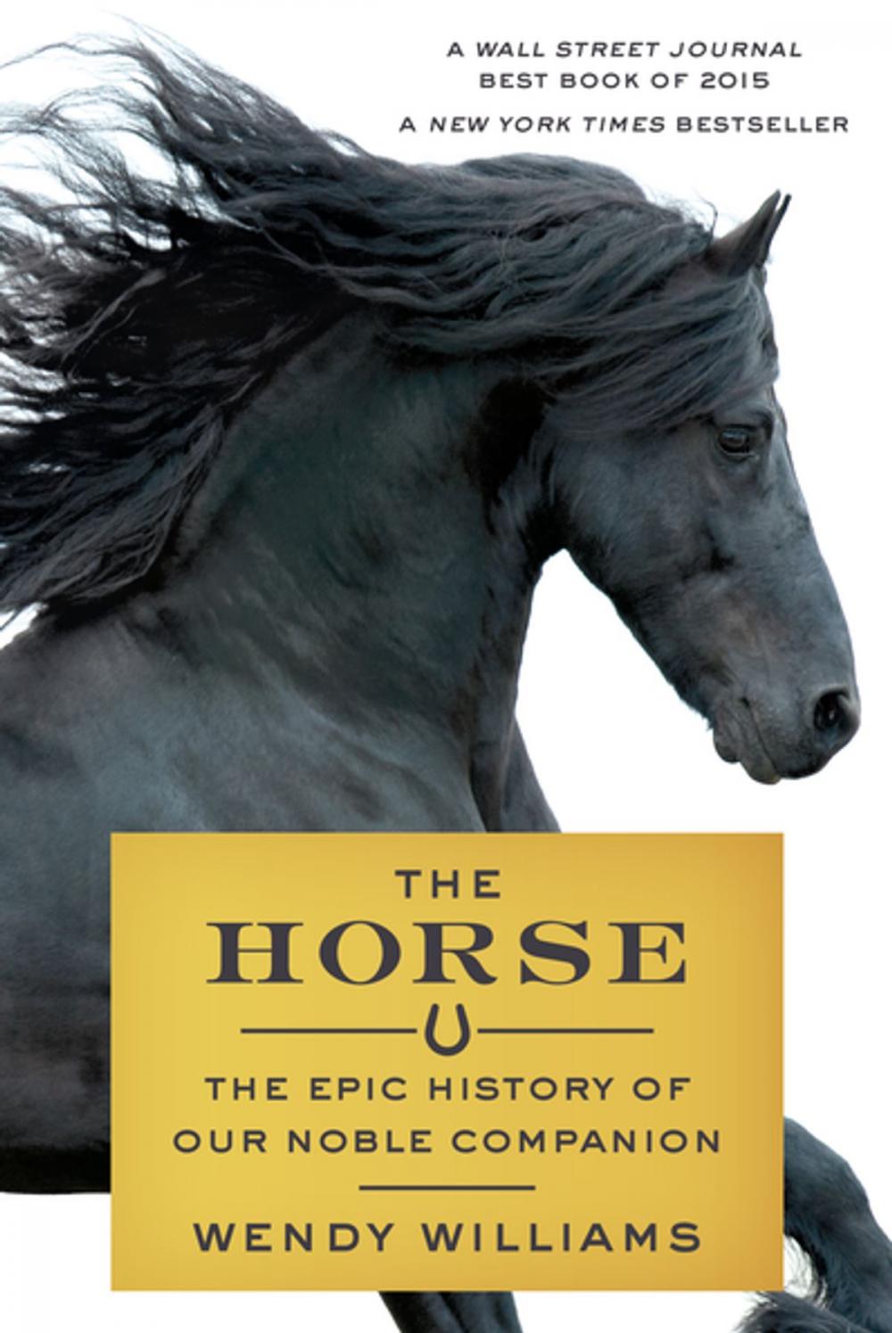 Big bigCover of The Horse